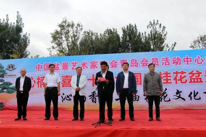 青岛沁楠香休闲岛云集全国各地上千盆精品盆景