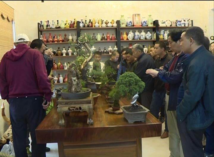 2017中秋盆景技艺观摩会在嵩县举行