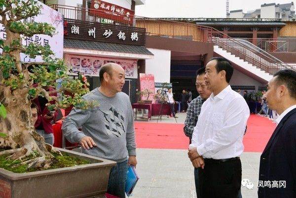 廖其刚等县领导参观书画摄影盆景奇石展