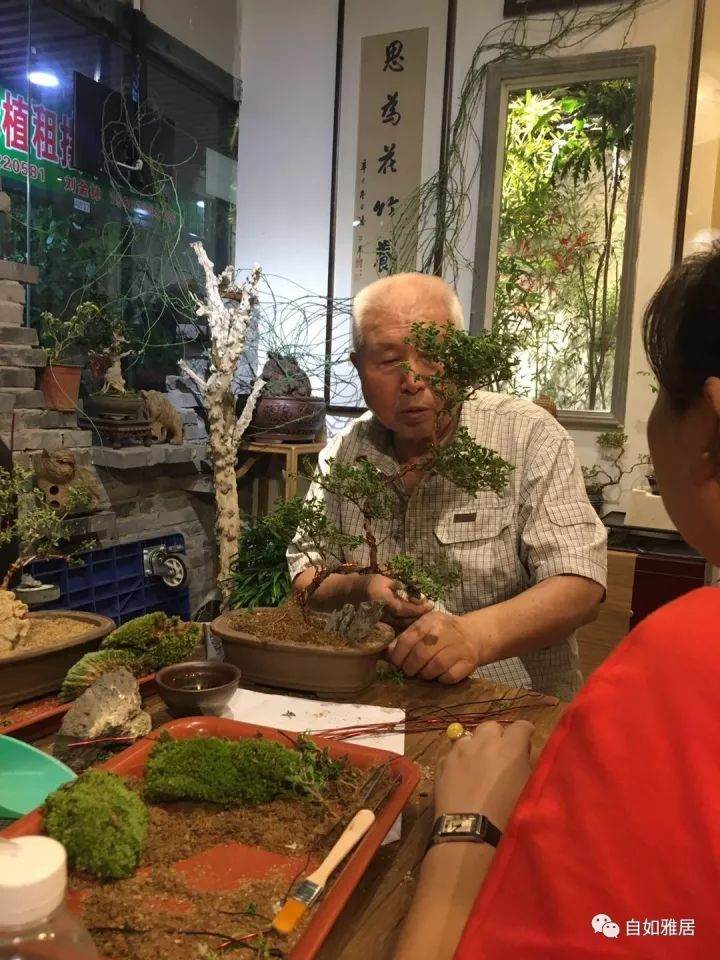 自如花修——六月雪盆景制作课程花絮