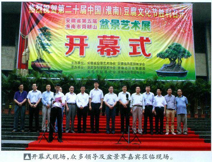淮南市舜耕山盆景艺术展于2013年9月12举办