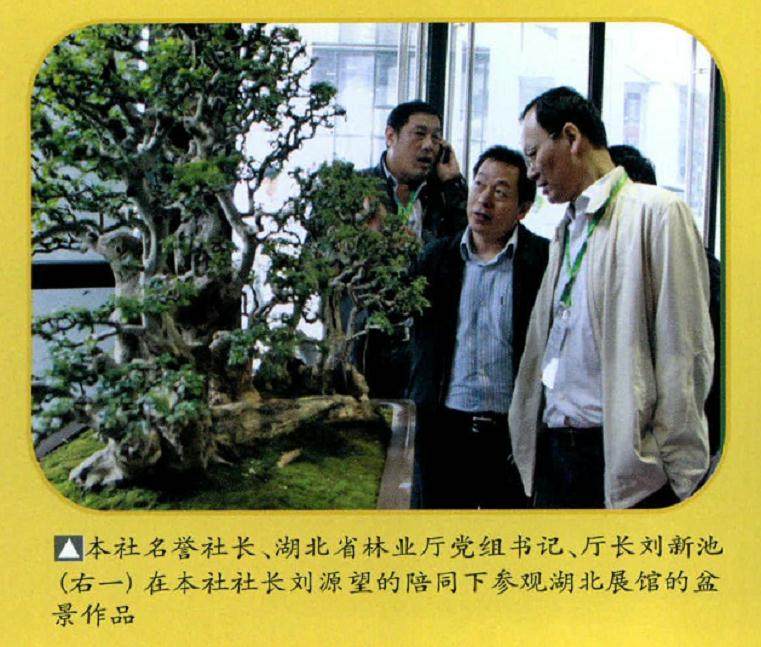 刘新池出席第八届中国花卉盆景展