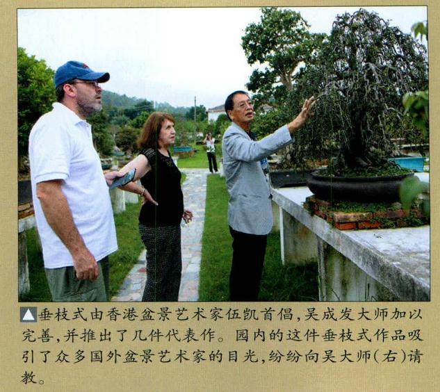 第十二届亚太盆景赏石大会闭幕之后