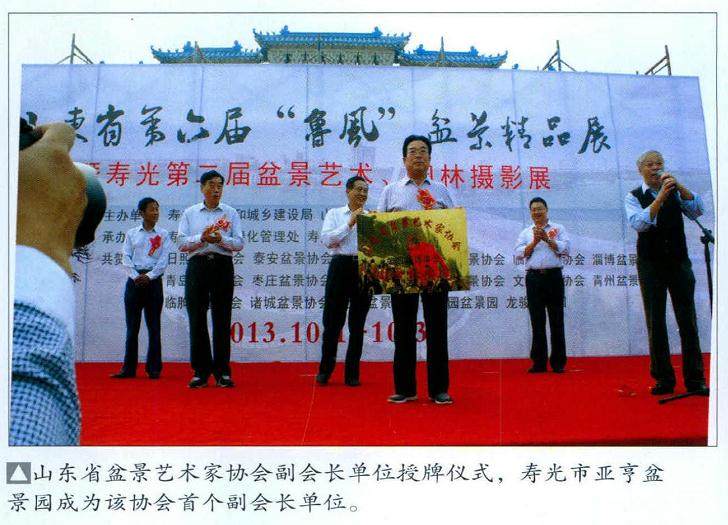 山东省第六届鲁风盆景精品展暨寿光市第二届盆景艺术