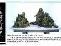 图解 组合山石盆景有两种制作方法