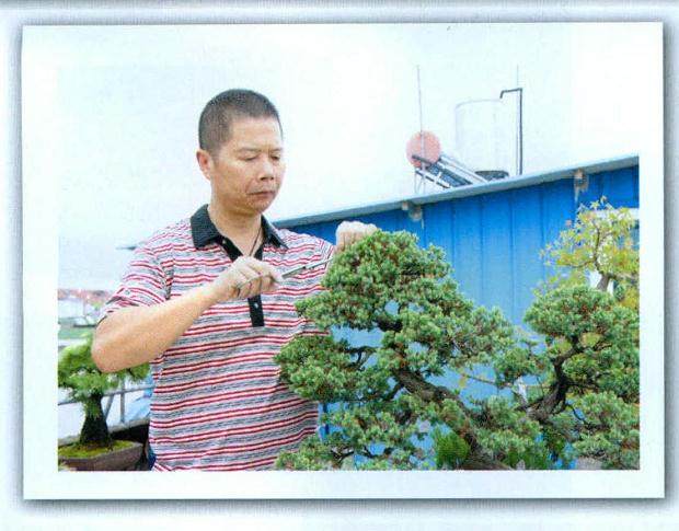 浙江省花卉协会盆景分会副会长--王炘