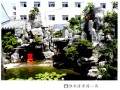 淮北市一处以山水盆景为主题的私家盆景园