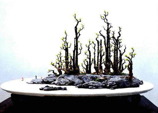 今年四月在扬州举办的国际盆景大会