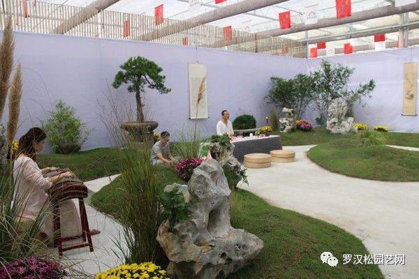 江苏如皋举办第四届中国风盆景展