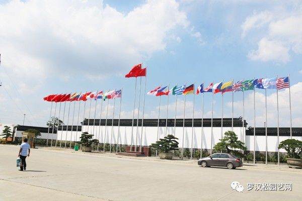 江苏如皋举办第四届中国风盆景展