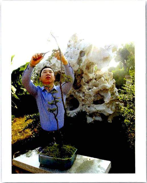 广东中山盆景艺术家--梁富锦