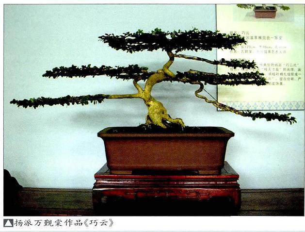 盆景艺术风格形成受制于地域文化和物候