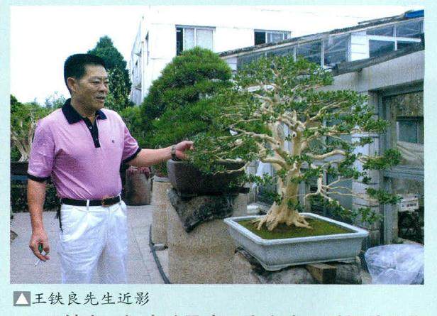 王守义十三香古木盆景园是河南最具影响力的名园之一