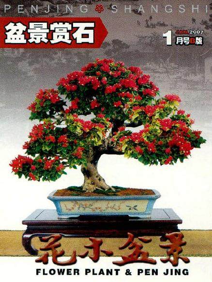 《花木盆景》一直及时将业界重大活动信息呈现给广大读者