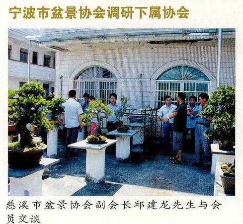 宁波盆景协会调研下属协会