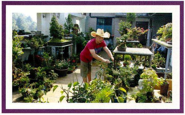 现任贵州盆景艺术协会副会长兼常务副秘书长--高非洲