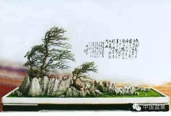 贺淦荪大师是我国当代盆景史上有特殊贡献的杰出代表