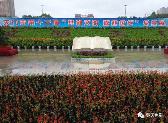 天门市文明创建迎国庆盆景展