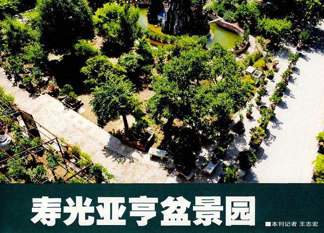 亚亨盆景园是寿光市知名企业家张永成营建的私家盆景园