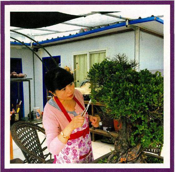 广西梧州盆景艺术家--袁葱