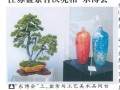 江苏盆景将迎来更加绚烂的百花争艳的春天