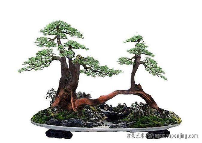 目前盆景发展形势大好的4个原因