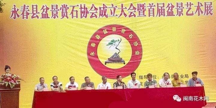 福建永春县盆景赏石协会成立大会暨首届盆景艺术展
