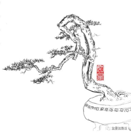 试论中国盆景方法 三 形神兼 第二节