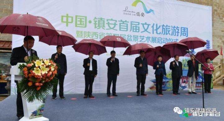 陕西省第四届盆景艺术展启动仪式在我县举行