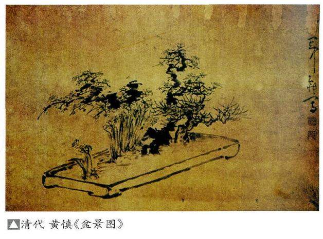 中国盆景已有一千几百年历史 近代曾一度衰落