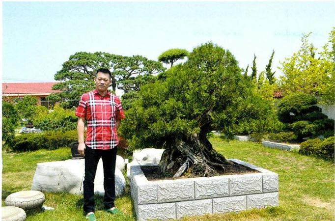 中华园园主于建涛先生为促进文登盆景事业发展