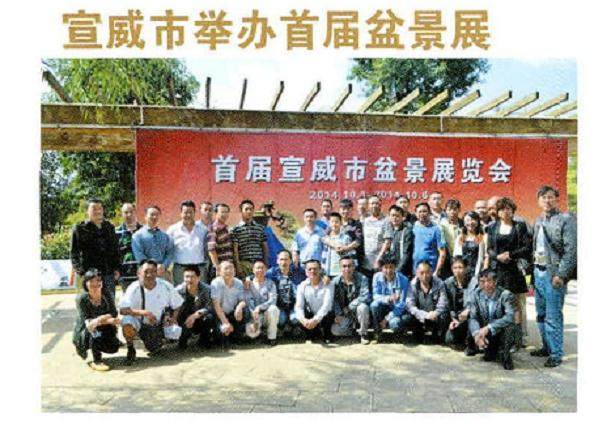 首届宣威盆景展览会在风景如画的美奂山公园举办