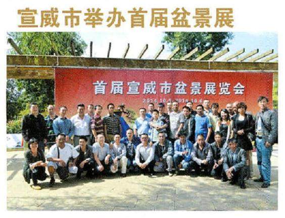 中山盆景协会东凤镇第二届盆景展成功举办