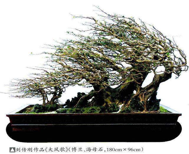 贺淦荪先生发表《论盆景事业的发展》