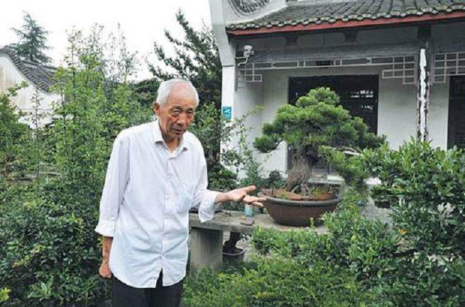 75岁的国家级盆景大师--胡世勋