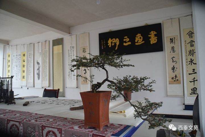 第二届作品展暨杨家寺农民盆景根艺展活动掠影