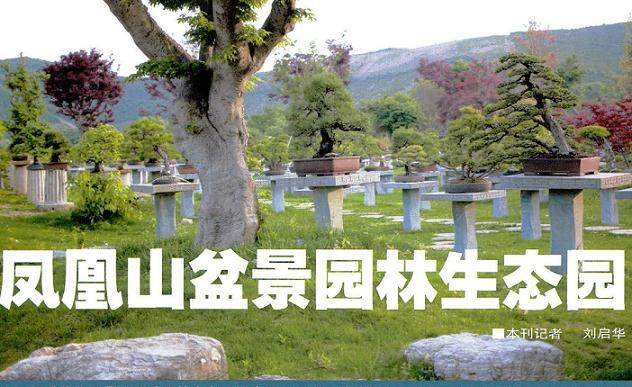 江苏常州凤凰山盒景园林生态园始建于2009年