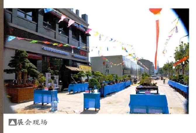 第二届第园盆景展示交流会