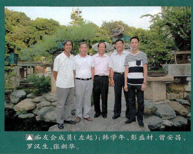 一年一度的岭南盆景痴友会联谊活动在顺德金桂园举行