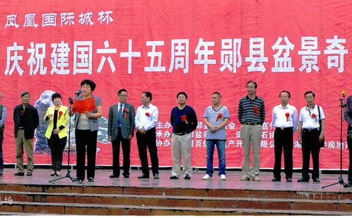 郧县盆景奇石展在湖北省郧县文化广场盛大举行