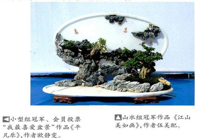 香港第五届会员盆景比赛在元朗隆重举行