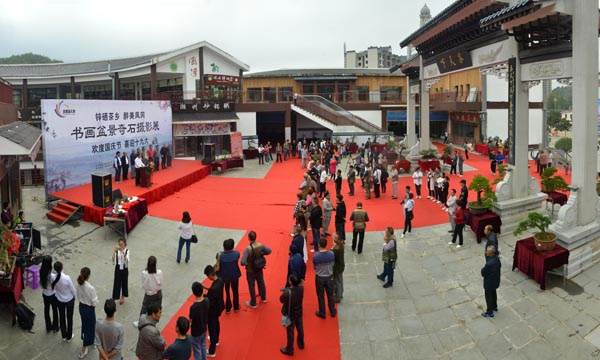 贵州盆景展在有机食品城茶天下展厅开展