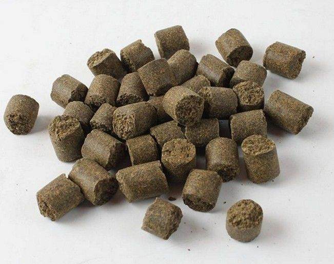 盆景施肥换盆和病虫害管理