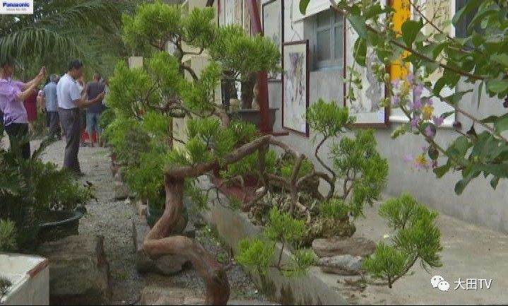 “书香之家”官恩赐举办农家花卉盆景暨书画展