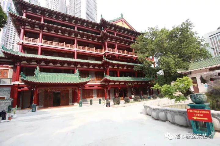 岭南&ldquo;素仁格&rdquo;盆景艺术研讨会在广州海幢寺成功举办