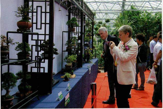 要让全世界认识到中国的微型盆景有多优秀