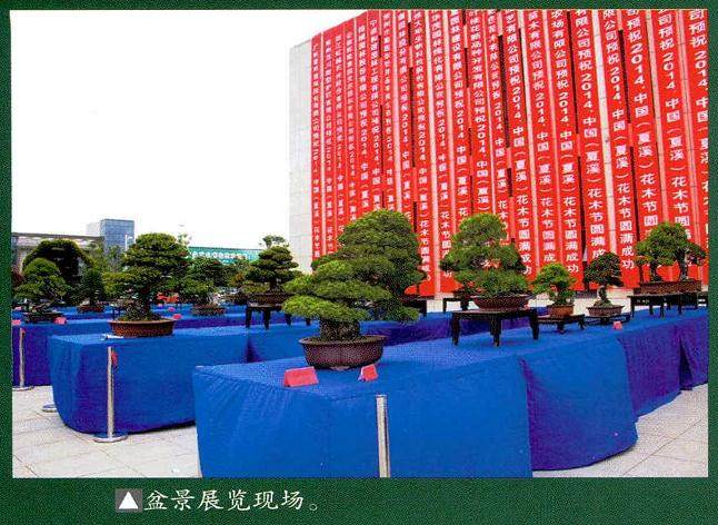 在全国盆景界有着广泛影响的常州盆景园——聚松园