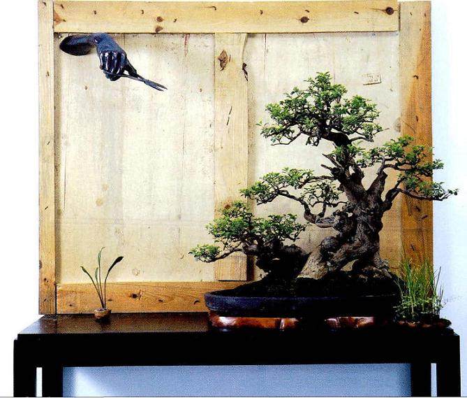 我们盆景乐园网站代表团前往美丽的印尼爪畦岛