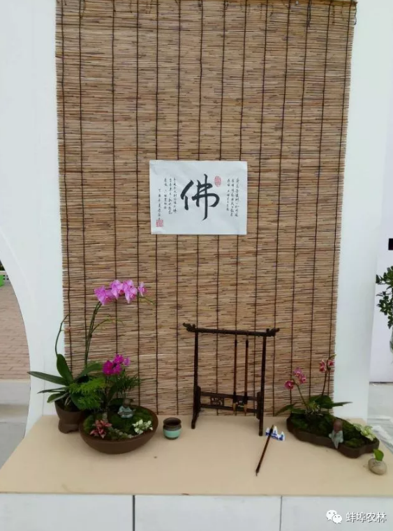 第九届中国花卉博览会于10月7日在宁夏银川举行