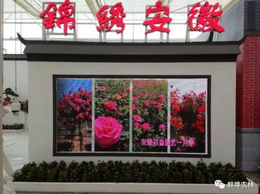 第九届中国花卉博览会于10月7日在宁夏银川举行